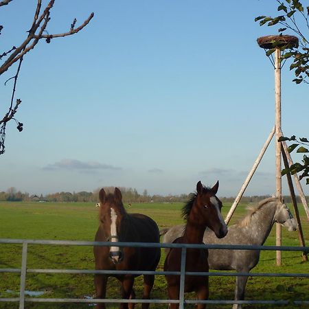 Boerderij "De Verwondering" Goudriaan Esterno foto