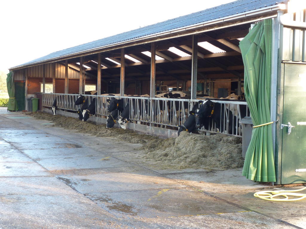 Boerderij "De Verwondering" Goudriaan Esterno foto