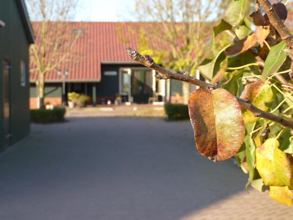 Boerderij "De Verwondering" Goudriaan Esterno foto