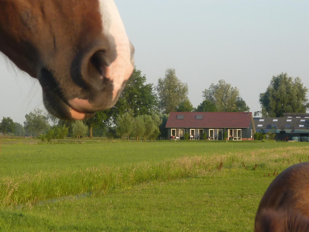 Boerderij "De Verwondering" Goudriaan Esterno foto